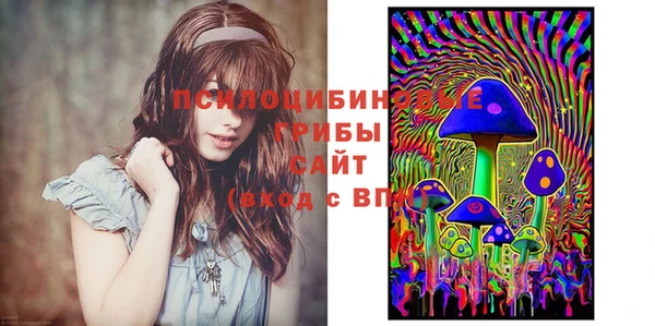 гидра Мегион