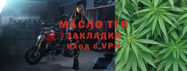 твердый Михайлов