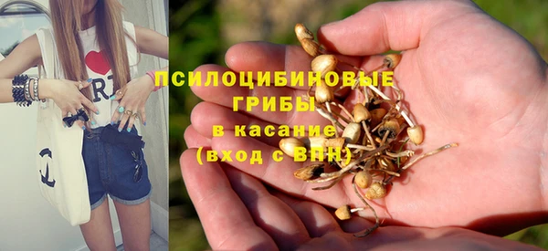 гидра Мегион