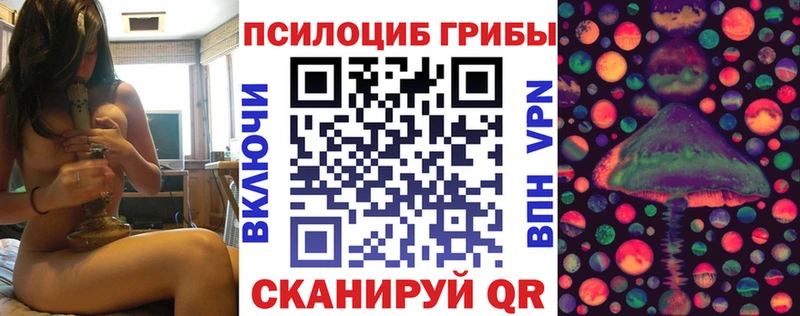 Псилоцибиновые грибы мухоморы  дарнет шоп  Туймазы 