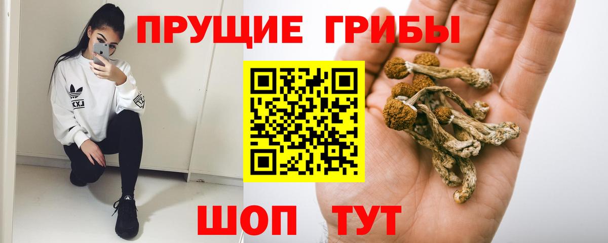 Псилоцибиновые грибы прущие грибы  Вход с VPN  Туймазы 